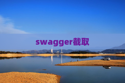 swagger截取